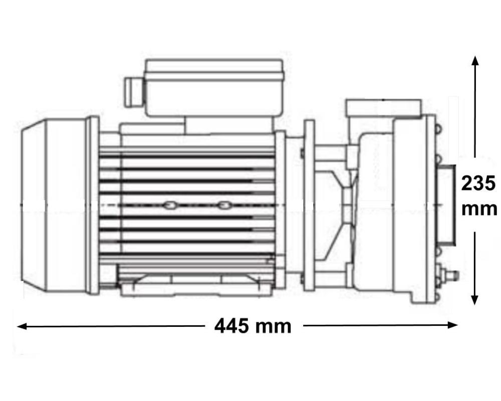 POMPE BI VITESSE WP 300