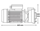 POMPE BI VITESSE WP 300